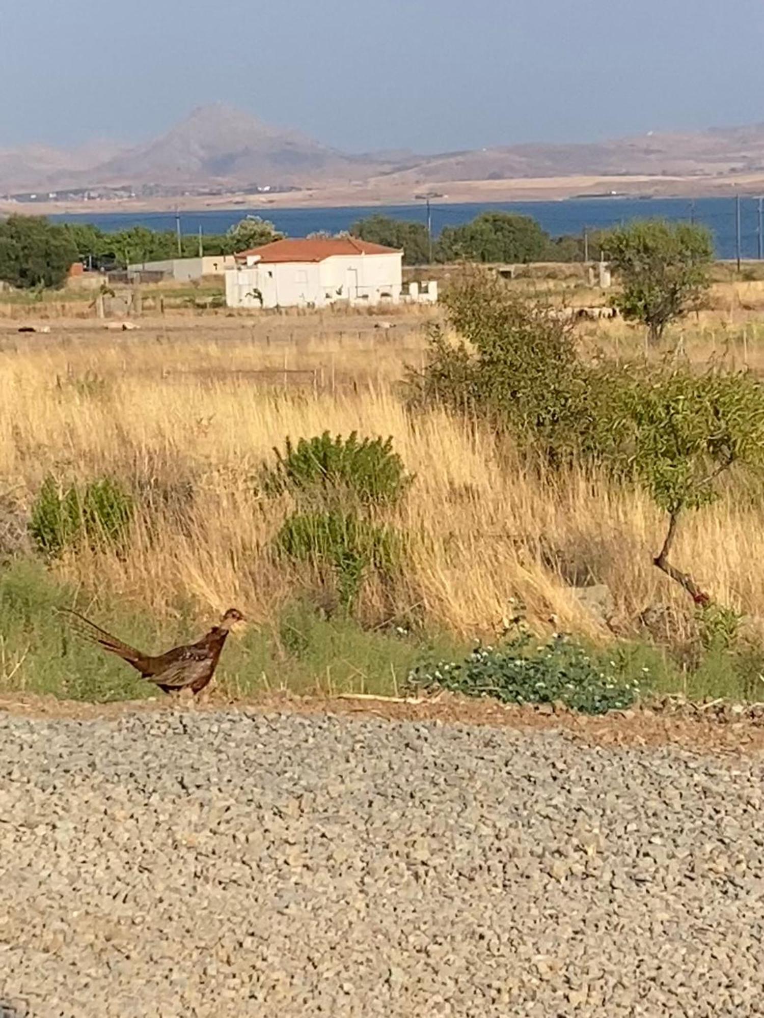 Red Village Limnos * Moudhros